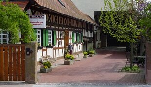 Elektro-Service Langenbach